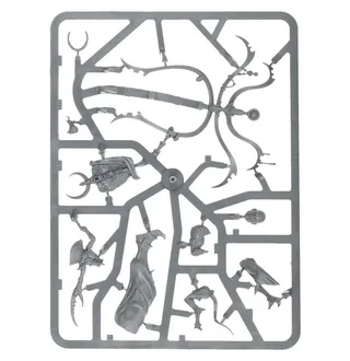 Показує серію Hedonites of Slaanesh, а не саме Syll'Esske, the Vengeful Allegiance (Scourge of Ghyran) — те саме зображення представляє 2 підрозділи цієї армії.