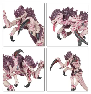 Zeigt die Reihe Tyranids und nicht Neurotyrant im Besonderen — dasselbe Bild steht für 5 Einheiten dieser Armee.