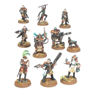 Pokazuje serię Agents of the Imperium, a nie konkretnie Voidsmen-at-Arms — to samo zdjęcie reprezentuje 2 jednostki tej armii.