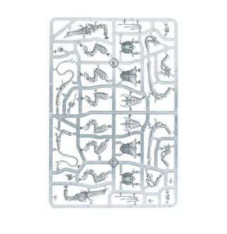 Zeigt die Reihe Tyranids und nicht Neurotyrant im Besonderen — dasselbe Bild steht für 5 Einheiten dieser Armee.