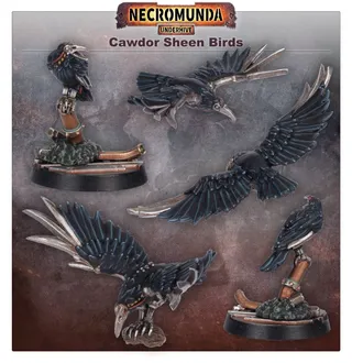 Cawdor Sheen Birds reference photo