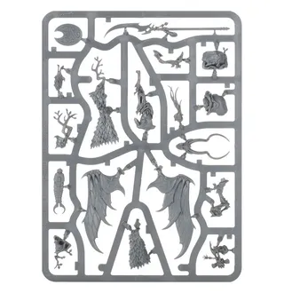 Zeigt die Reihe Sylvaneth und nicht Skaeth's Wild Hunt im Besonderen — dasselbe Bild steht für 2 Einheiten dieser Armee.