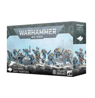 Zdjęcie referencyjne Grey Hunters