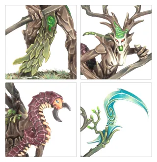 Branchwych reference photo