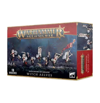 Zdjęcie referencyjne Witch Elves