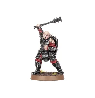 Zdjęcie referencyjne Cirion, Lieutenant of Amon Barad
