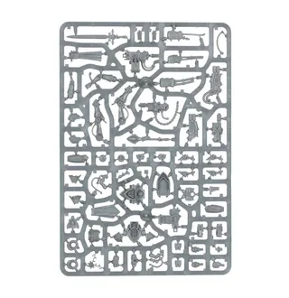 Zdjęcie referencyjne Paragon Warsuits
