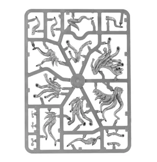 Muestra la gama Beasts of Chaos y no Centigors en particular — la misma imagen representa a 16 unidades de este ejército.