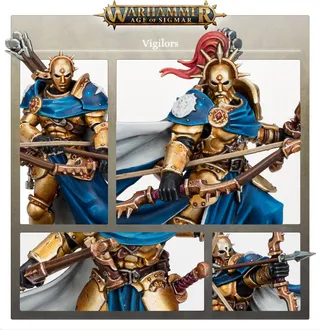 Vigilors reference photo