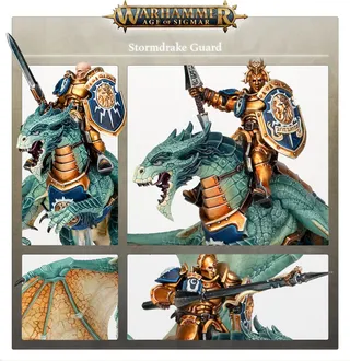 Zdjęcie referencyjne Stormdrake Guard