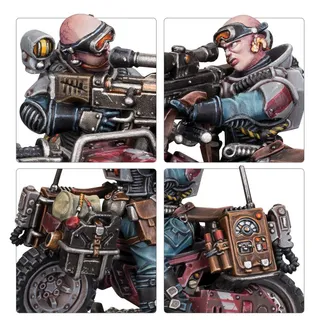 Jackal Alphus reference photo