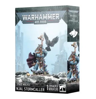 Foto de referencia de Njal Stormcaller