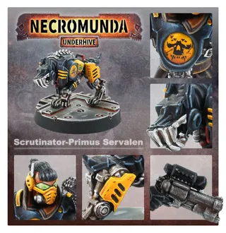 Zdjęcie referencyjne Scrutinator-Primus Servalen