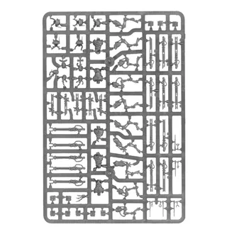 Zeigt die Reihe Adeptus Mechanicus und nicht Sicarian Infiltrators im Besonderen — dasselbe Bild steht für 2 Einheiten dieser Armee.