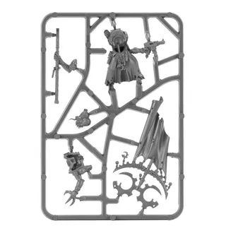 Acolyte Iconward reference photo