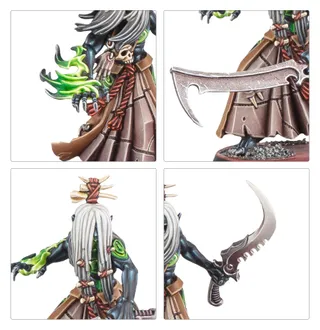 Foto de referencia de Mandrakes