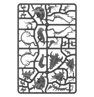 Muestra la gama Tyranids y no Zoanthropes en particular — la misma imagen representa a 2 unidades de este ejército.