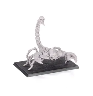 Tomb Scorpion reference photo