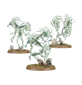 Показує серію Nighthaunt, а не саме Spirit Hosts — те саме зображення представляє 2 підрозділи цієї армії.