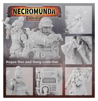 Zdjęcie referencyjne Rogue Doc and Gang Look-out