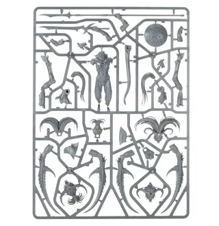 Zeigt die Reihe Emperor's Children und nicht Shalaxi Helbane im Besonderen — dasselbe Bild steht für 2 Einheiten dieser Armee.