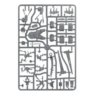 Zeigt die Reihe Ogor Mawtribes und nicht Gnoblar Scraplauncher (Scourge of Ghyran) im Besonderen — dasselbe Bild steht für 5 Einheiten dieser Armee.