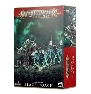 Zdjęcie referencyjne Black Coach