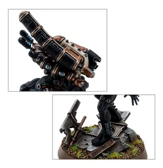 Culexus Assassin reference photo
