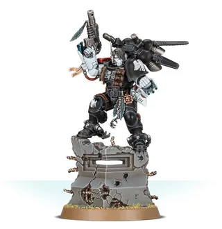 Foto de referencia de Kayvaan Shrike