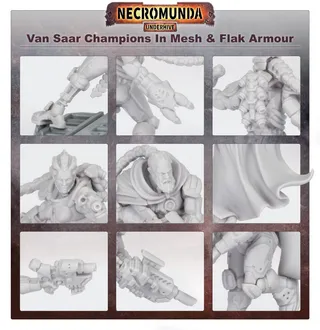 Показує серію House Van Saar, а не саме Van Saar Champions in Mesh and Flak Armour — те саме зображення представляє 2 підрозділи цієї армії.