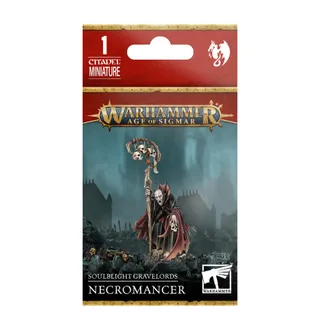 Zdjęcie referencyjne Master Necromancer