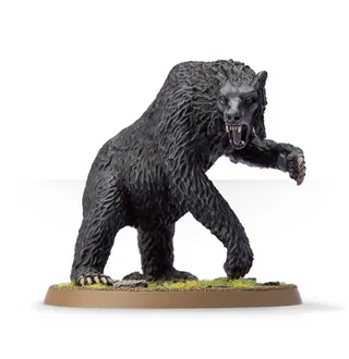 Referenzfoto von Beorn