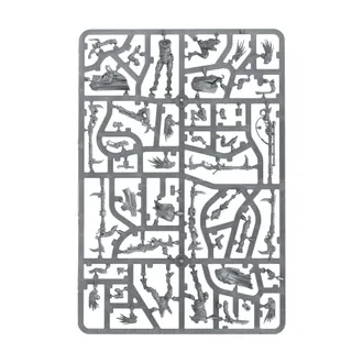 Референсне фото Kroot Farstalkers