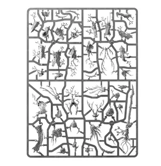 Zeigt die Reihe Sylvaneth und nicht Treelord Ancient im Besonderen — dasselbe Bild steht für 2 Einheiten dieser Armee.
