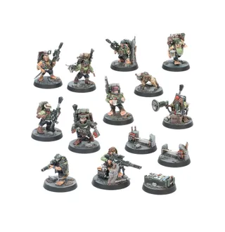 Referenzfoto von Ratlings