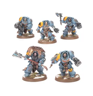 Muestra la gama Space Wolves y no Wolf Guard Terminators en particular — la misma imagen representa a 7 unidades de este ejército.