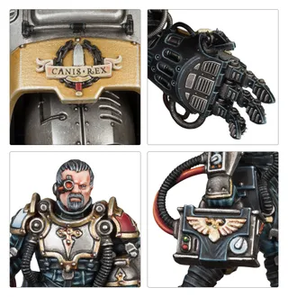 Muestra la gama Space Wolves y no Knight Preceptor en particular — la misma imagen representa a 2 unidades de este ejército.