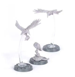 Cawdor Sheen Birds reference photo