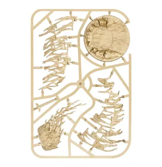 Pokazuje serię Stormcast Eternals, a nie konkretnie Evocators on Celestial Dracolines — to samo zdjęcie reprezentuje 5 jednostek tej armii.
