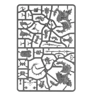 Varanguard reference photo
