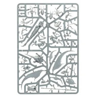 Zeigt die Reihe Sylvaneth und nicht Skaeth's Wild Hunt im Besonderen — dasselbe Bild steht für 2 Einheiten dieser Armee.