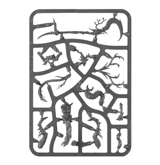 Branchwych reference photo