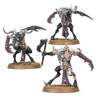 Muestra la gama Hedonites of Slaanesh y no Slaangor Fiendbloods en particular — la misma imagen representa a 2 unidades de este ejército.