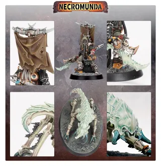 Foto de referencia de Ash Waste Nomads Herder with Arthromite Duneskuttler