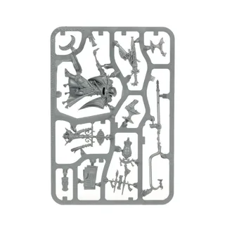 Referenzfoto von Scinari Calligrave