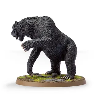 Referenzfoto von Beorn