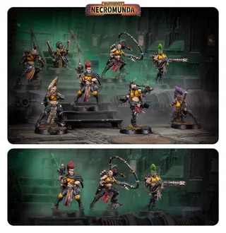 Escher Blades of the Matriarch reference photo