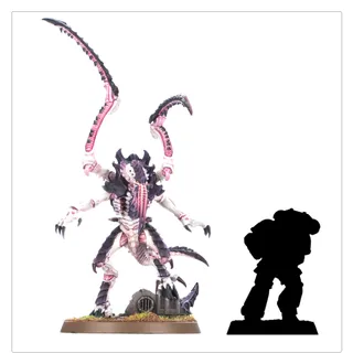 Referenzfoto von Lictor