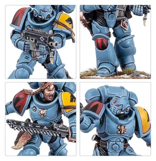 Zdjęcie referencyjne Grey Hunters