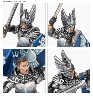 Captain of Dol Amroth reference photo